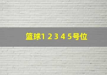 篮球1 2 3 4 5号位